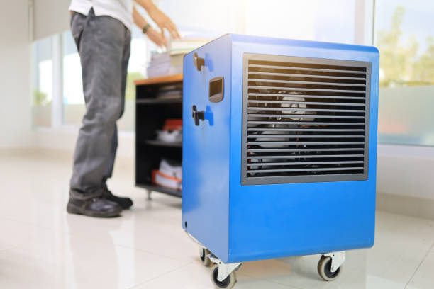 Dehumidification Services